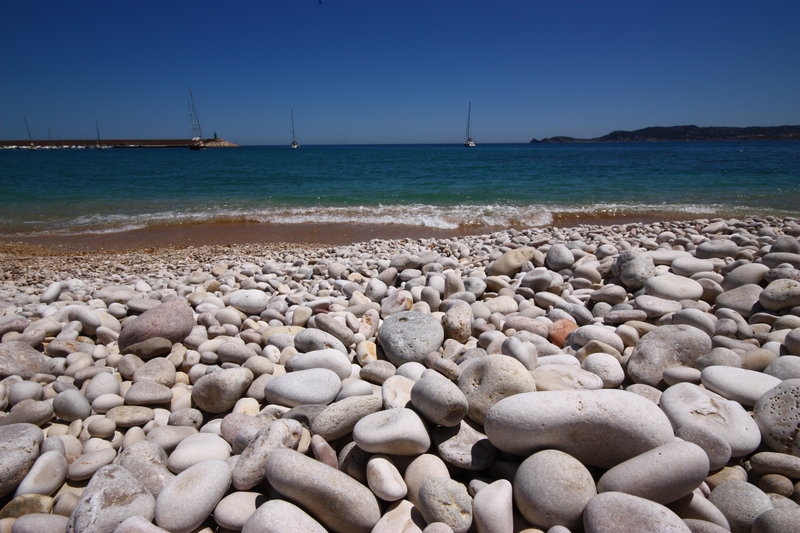 main page image